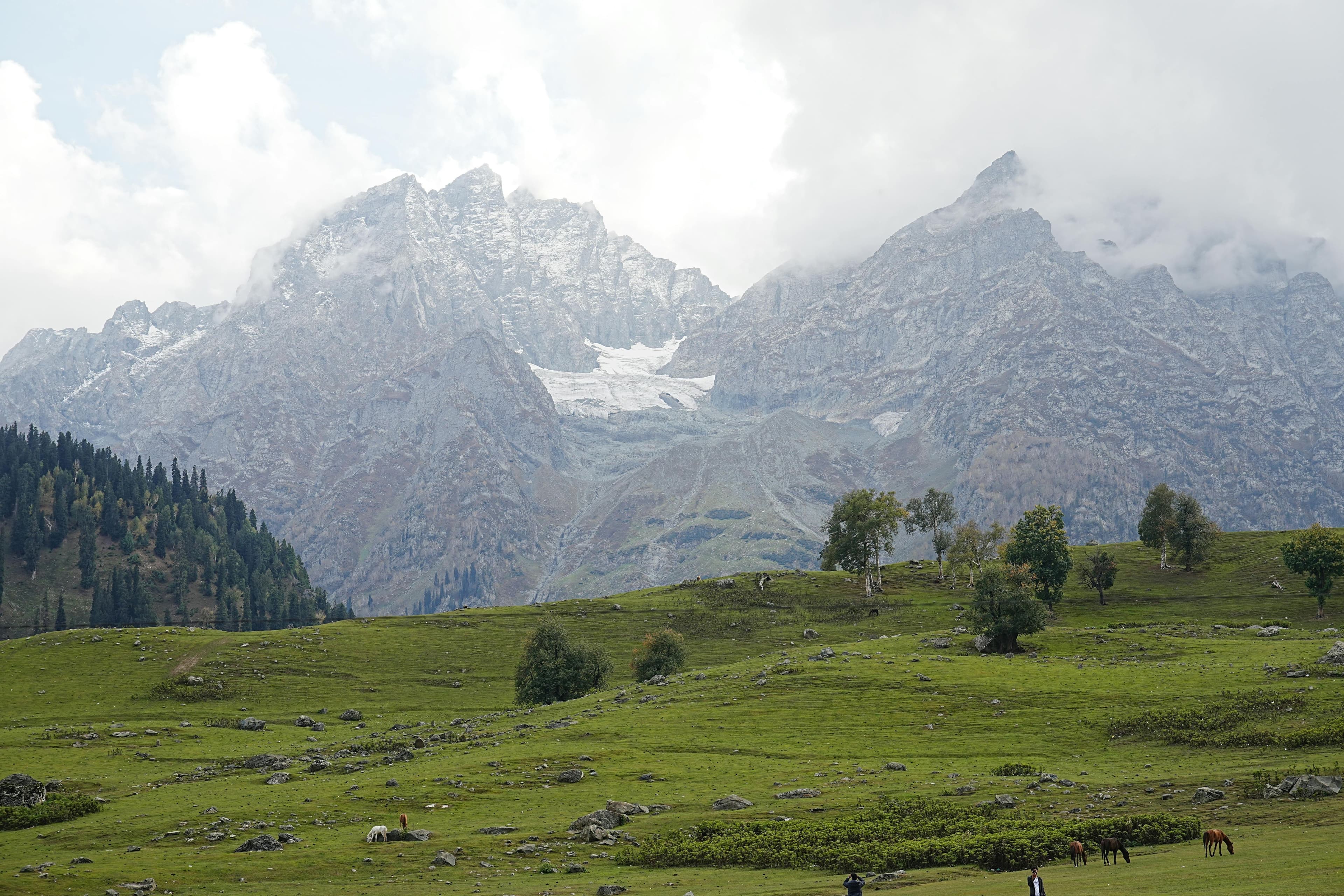 Forest landscape in Balochistan